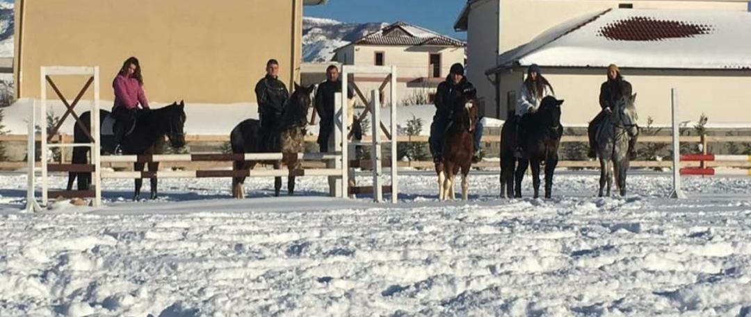 فندق House Of Horses Shtepia E Kuajve كورتشي المظهر الخارجي الصورة
